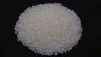 Wholesale Broken A1 Extra Rice Directly from Mill in Cambodia at the cheapest price in market