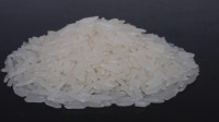 Wholesale Broken A1 Extra Rice Directly from Mill in Cambodia at the cheapest price in market