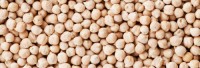 Wholesale chickpeas at very cheap prices